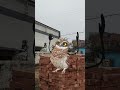 #actingchallenge #funny