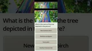 Brain Excercise-21 -Fz9Uj