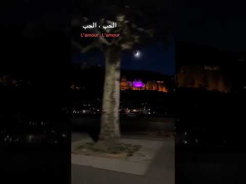 الحب الحب أغنية فرنسيه لايك اشتراك