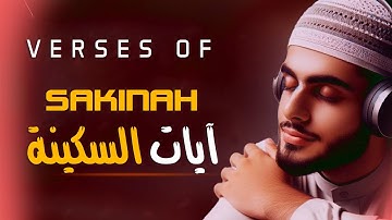 آيات السكينة والطمأنينة لدفع القلق والهموم | القارئ مصطفى إبراهيم رميح | AYAT OF TRANQUILITY