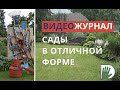 Видео журнал «Сады в отличной форме №1»