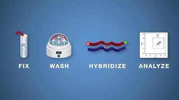 Pioneers in HPV Detection - Introducing FLOWSCRIPT® HPV E6/E7 Assay