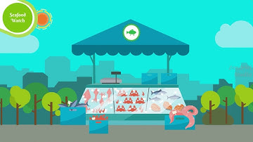 Seafood Ninja | Explainer Video by Zendriel Studio