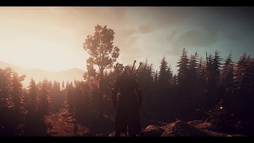 Witcher 3 // ReShade and environment showcase #14