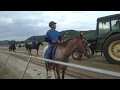 Horse Racing at Mountaineer Casino, Racetrack and Resort ...