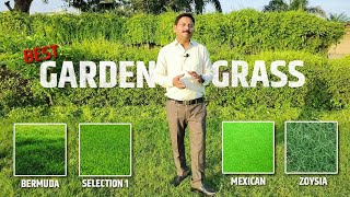 Best Grass For Home Lawn  | How to Grow Grass in Lawn | Hindi Video | Ashiyana Vlogs
