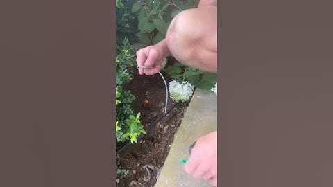 Installing NON PC Spray Stakes by Netafim