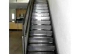 1001 E 17Th Street, Tucson, AZ 85719