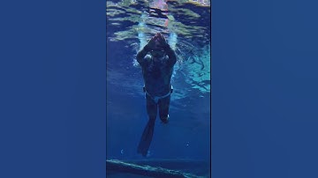 How to duck dive TWICE in ONE dive 🦆🤿 #shorts #mermaid #freediving  #freediver #onebreath