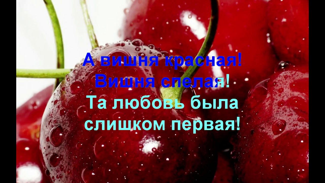 Песня вишня алая спелая минусовка. Зимняя вишня караоке. Зимняя вишня текст. Вишня зимняя вишня текст. Зимняя вишня текст караоке.