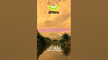 آيات من سورة الزمر || أسامه عبدالرحمن #اكسبلور #quran  #قرآن #قران_كريم #راحة_نفسية