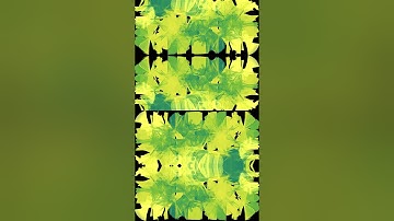 Experiments - Lepidoptera Variation V #p5js #generativeart #generative  #generativedesign #art