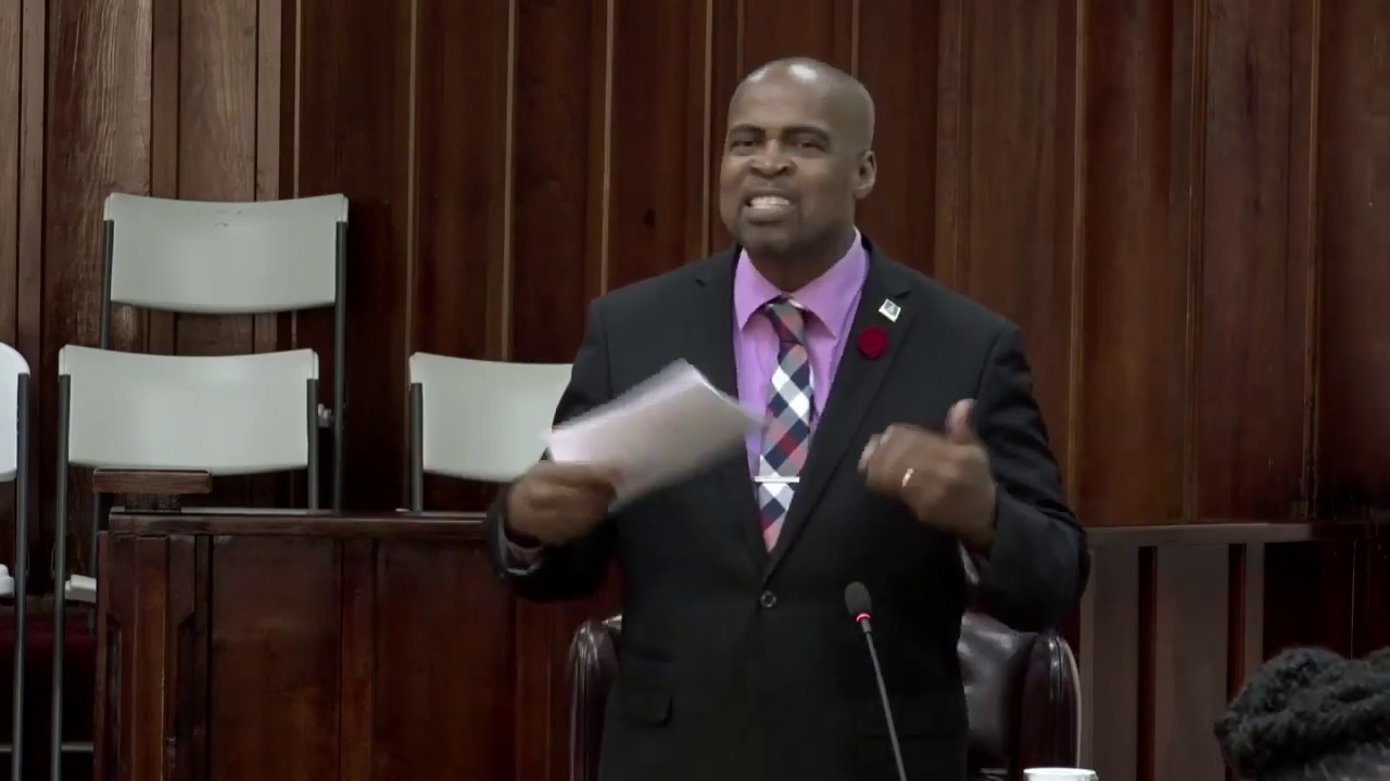 HON JOACHIM HENRY DEBATES ALIEN LAND HOLDING LICENSE BILL 12.03.2020