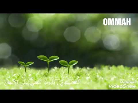 النقشبندي يا رب ثبتني على الايمان