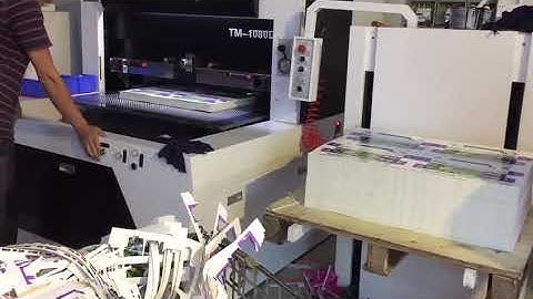 Automatic Stripping Machine with lifter TM-1080D