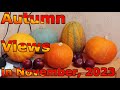 Autumn views in November, 2023