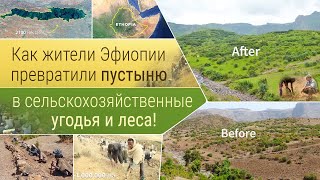 Как жители Эфиопии превратили пустыню в сельхозугодья и леса!
