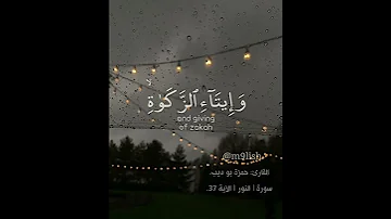 رجال لا تلهيهم قرآن بدون اعلانات القارئ حمزة بو ديب سورة النور الأية 37 
