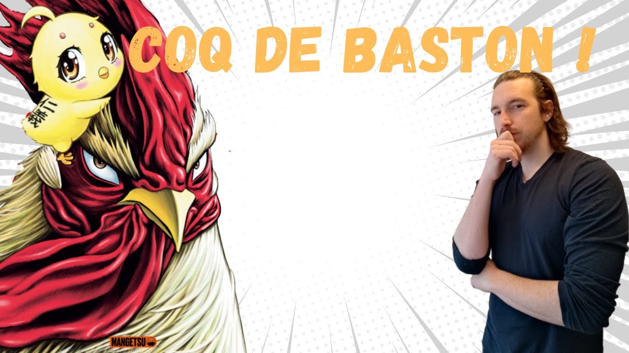 Lecture réaction ! Coq de baston ! Du bon poulet ? - YouTube