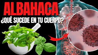 ?ALBAHACA?: SUPER PLANTA MEDICINAL - AMAZING HEALTH BENEFITS OF BASIL