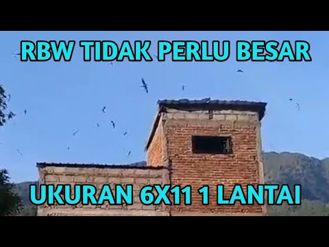  Rumah  Walet Sederhana  Sekali  Tapi Sukses RBW Ukuran 6 X 