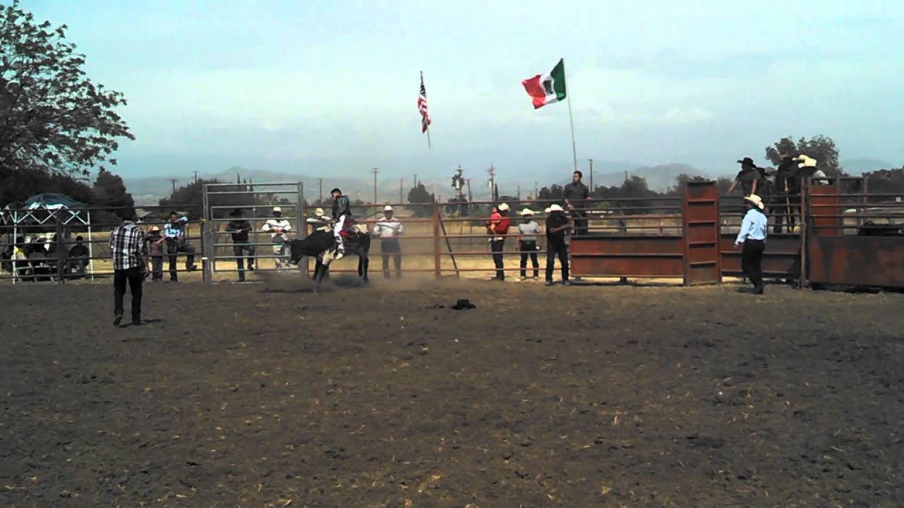 Jaripeo en cutler ca YouTube