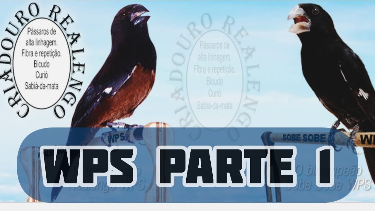 Parte 1 Waldir, Realengo ou WPS, A busca por um trabalho de excelência! Bicudo Vigor WPS.