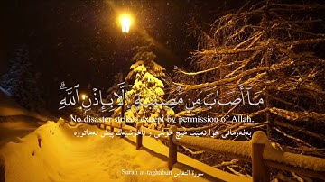 سورة التغابن أية (١١)  قارئ رعد الكردي