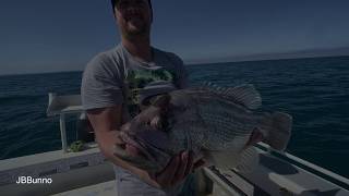 Dhu on soft plastics screenshot 5