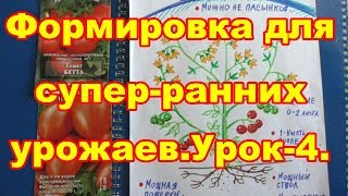 урок-4. Штамбовые томаты выручат всегда!