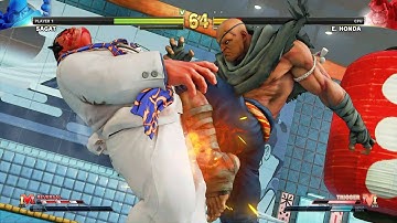 Sagat vs E  Honda | Level 8 CPU | Street Fighter V