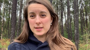 What is Pull Push Flow?