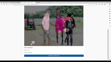Semantic Segmentation: FCN with Classical Networks