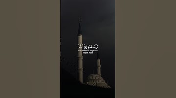 🎧❣️ راحة نفسية - القرآن الكريم 🌿 - واستغفر الله ان الله غفور رحيم