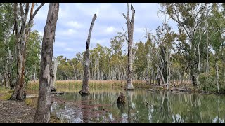 Narrandera, the Wetlands