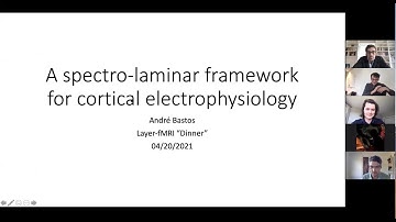 André Bastos: Canonical cortical circuits and dynamics for cognition