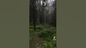 #سورة_الفاتحة #محمد_اللحيدان #اكسبلور سبحان العظيم