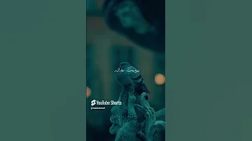 آهنگ دردت به جونم دلم تنگه براتو معین هایده چاووشی 