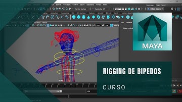 Rigging de Bipedos en Maya 2020- 3 Creando los Joins del Brazo