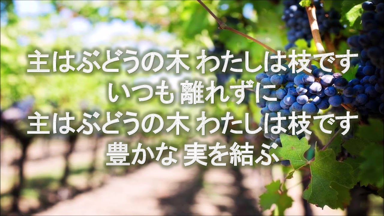 主はぶどうの木
