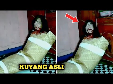 Video: Orang Asli yang Tidak Sengaja