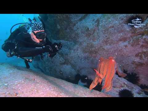 crayola table and chairs b&m