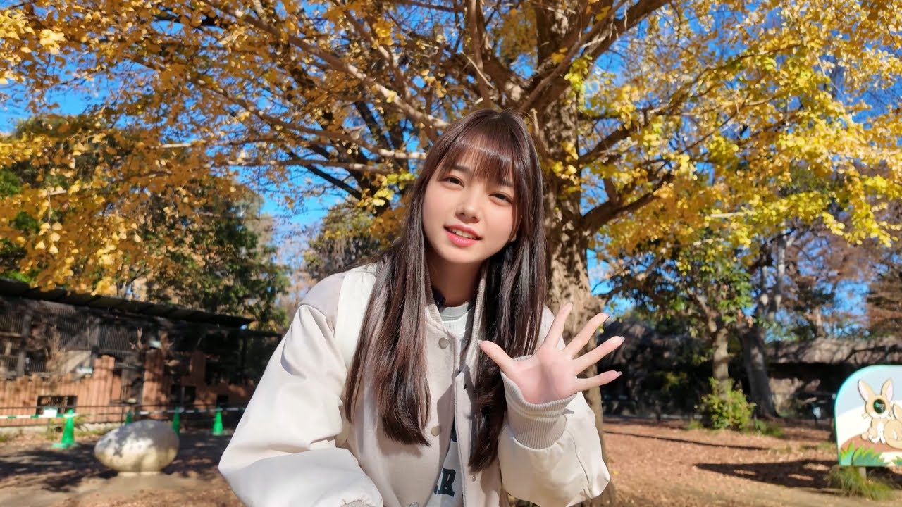 ハリーポッターで見るやつだ