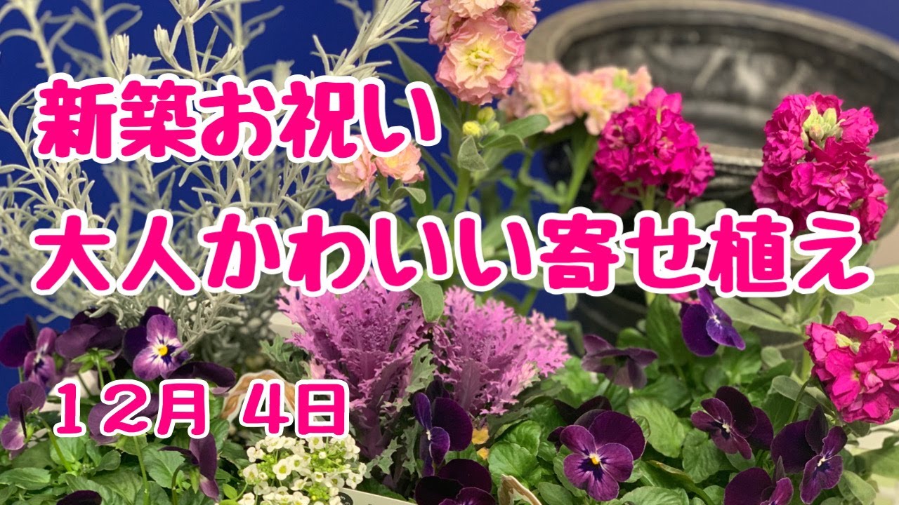 新築祝いに大人かわいい寄せ植えストックとビオラで華やかに - YouTube