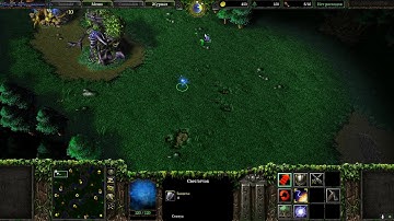 Warcraft III input mouse lag blizzard fix it!