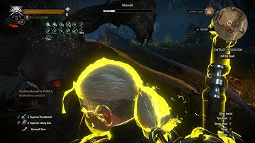 Witcher 3 Missing Son [4K 60fps]