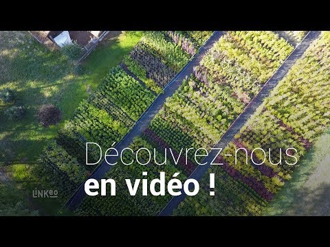 Vidéo: Salon Vert, Studio De Conception D'école Et De Paysage, Pépinière