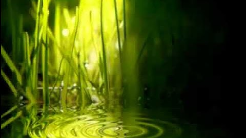 تلاوة تحبس الأنفاس للمتميز ادريس ابكر.flv