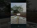 #samsung galaxy s24fe ai!#shortsindia #youtubeshorts