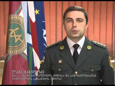 შსს-ს სასაზღვრო პოლიციამ ერთი პირი დააკავა